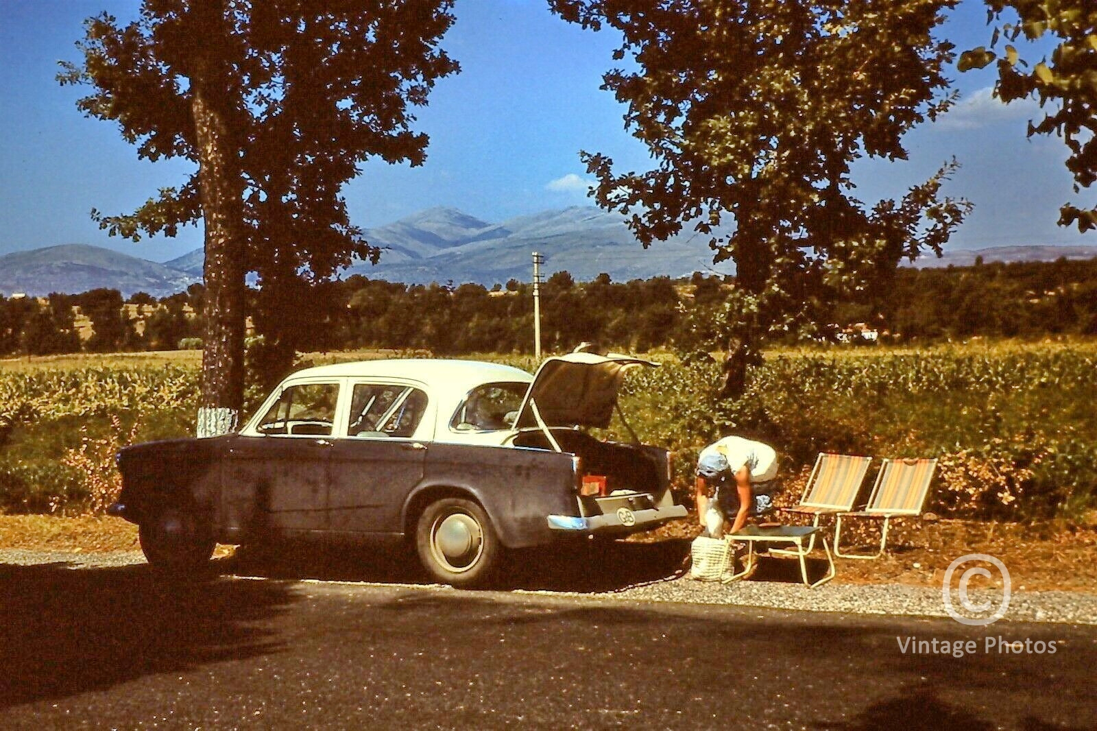 1950s Classic Car and Woman Setting Up Picnic